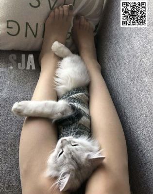国产欧美长篇动漫_国产剧完整在线观看